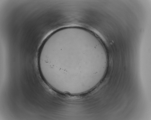 X0000115161460200911241539