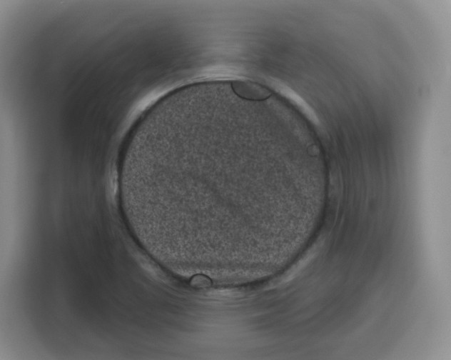 X0000115161461200911241539