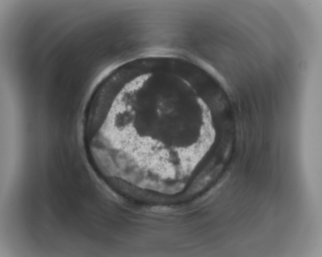 X0000115161463200911241539