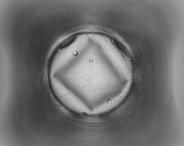 X0000115161464200911241539