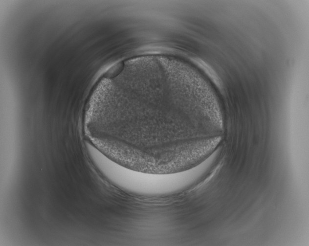 X0000115161465200911241539