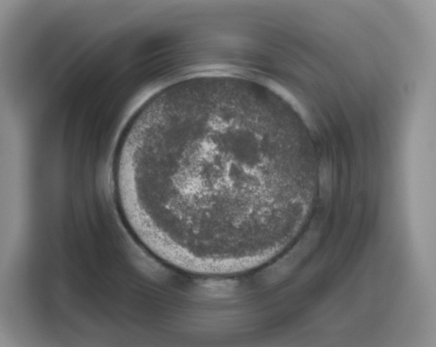 X0000115161466200911241539