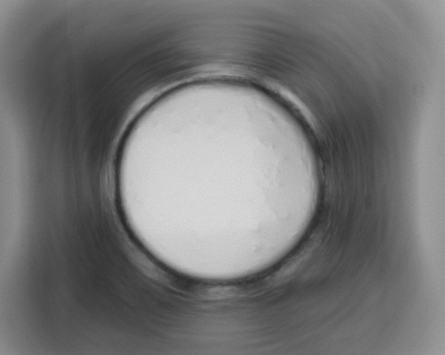 X0000115161467200911241539