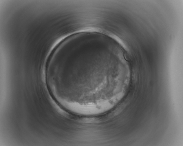 X0000115161468200911241539