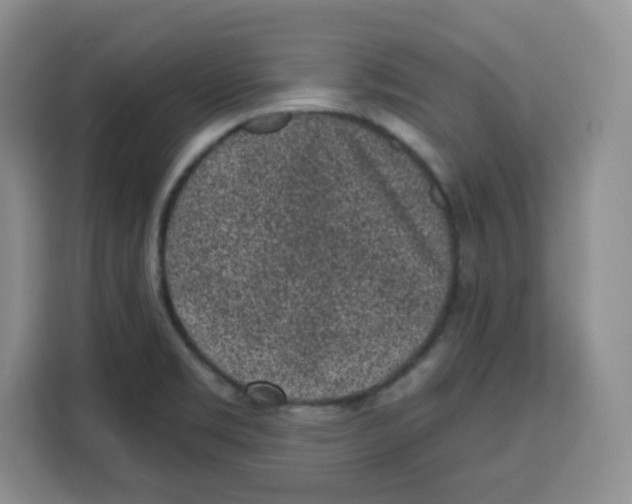 X0000115161469200911241539