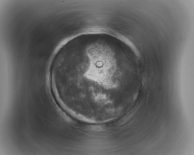 X0000115161472200911241539