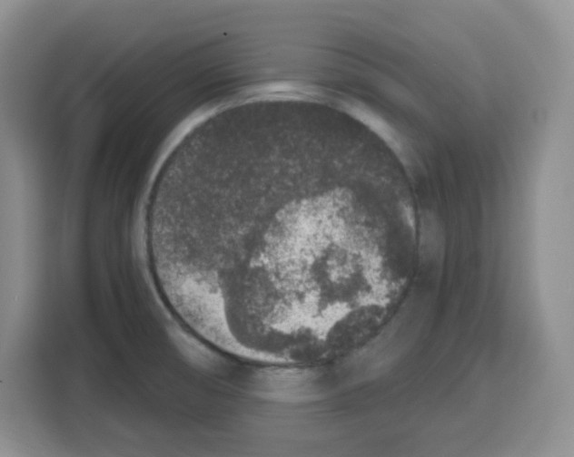 X0000115161474200911241539