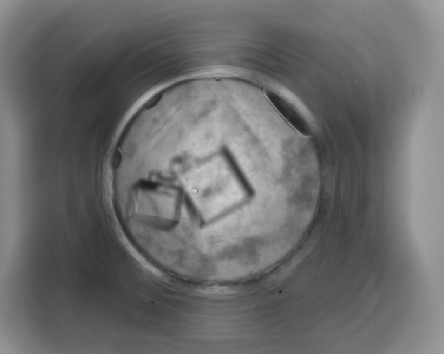 X0000115161476200911241539