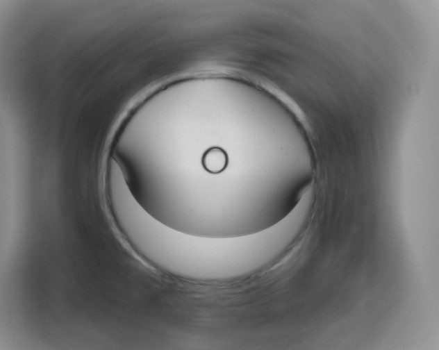 X0000115161477200911241539