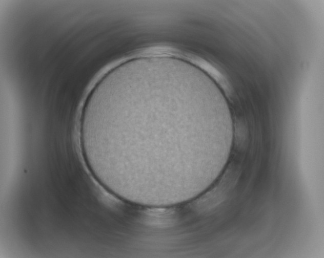 X0000115161478200911241539