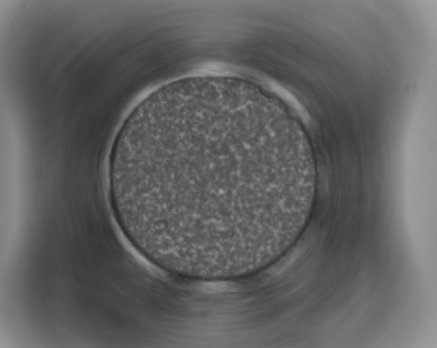 X0000115161479200911241539