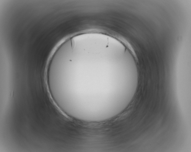 X0000115161480200911241539