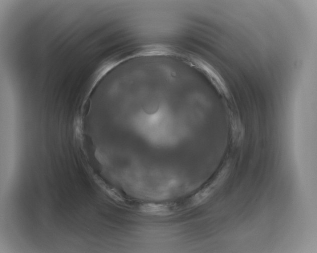 X0000115161481200911241539