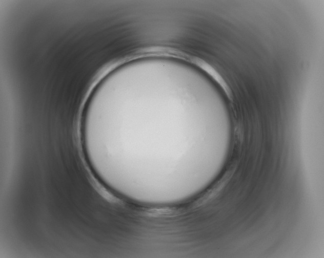 X0000115161482200911241539