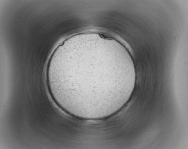 X0000115161483200911241539