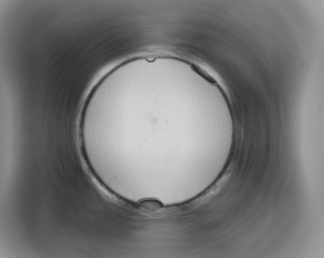 X0000115161485200911241539