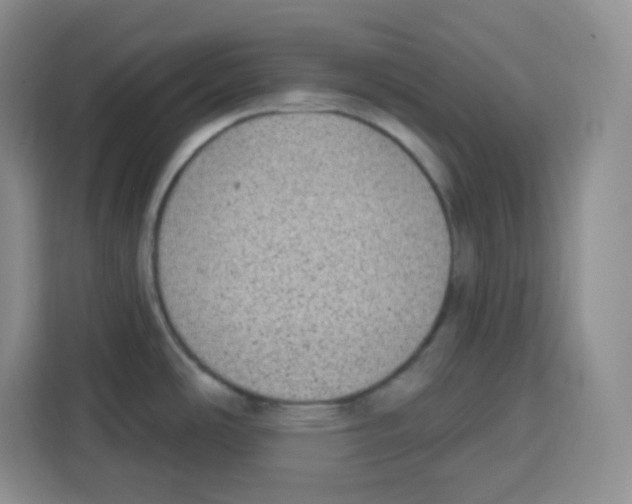 X0000115161486200911241539