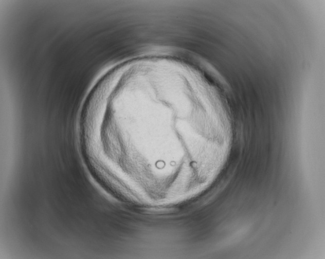 X0000115161487200911241539