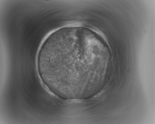 X0000115161488200911241539