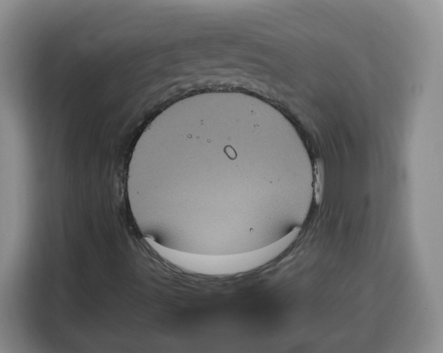 X0000115161491200911241538