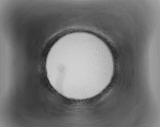 X0000115161494200911241538