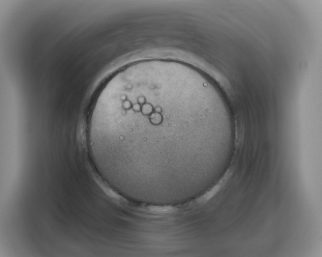 X0000115161498200911241538