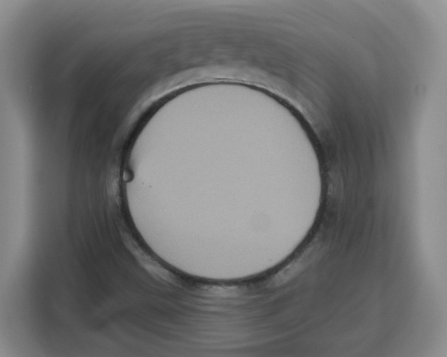 X0000115161499200911241538