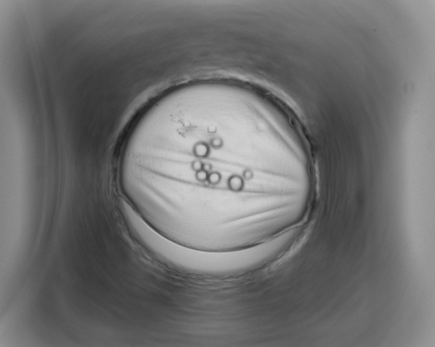 X0000115161501200911241538