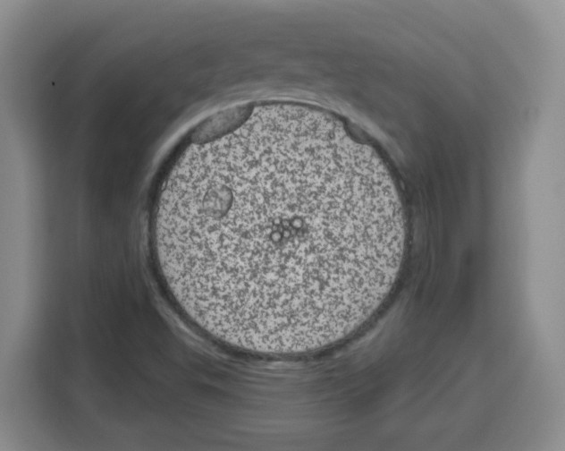 X0000115161503200911241538