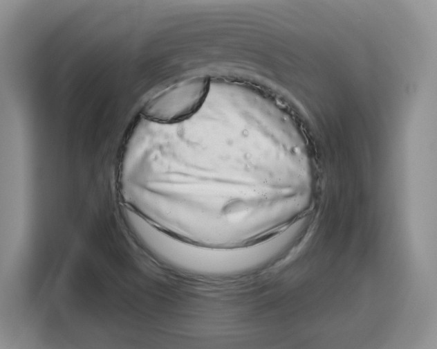 X0000115161505200911241538