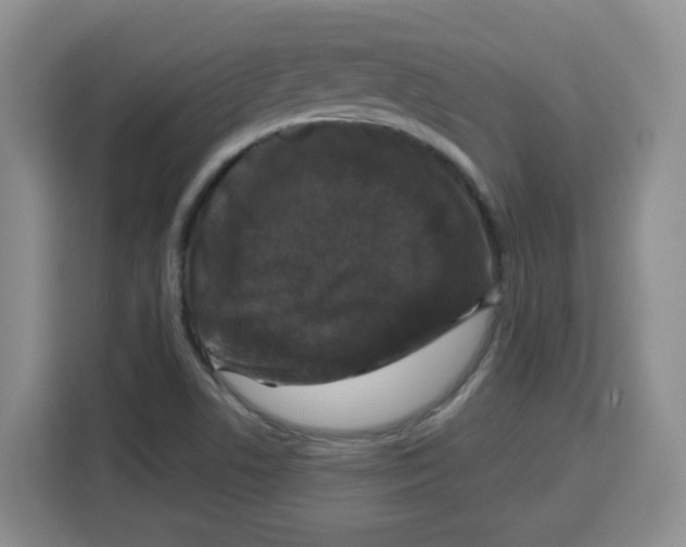 X0000115161506200911241538