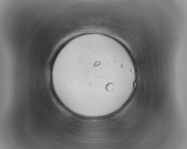 X0000115161507200911241538