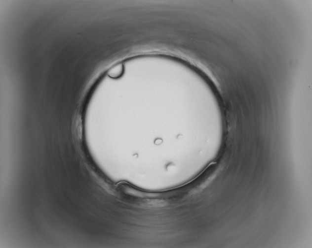 X0000115161509200911241538