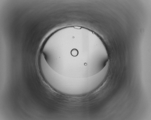 X0000115161510200911241538