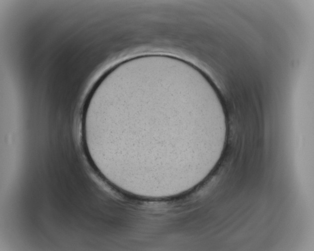 X0000115161511200911241538