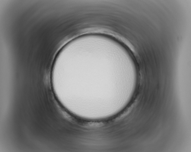 X0000115161513200911241538