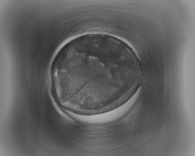 X0000115161515200911241538