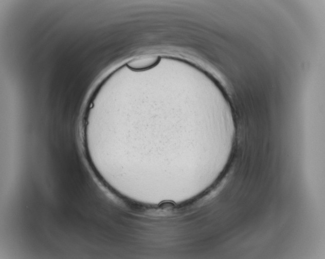 X0000115161517200911241538