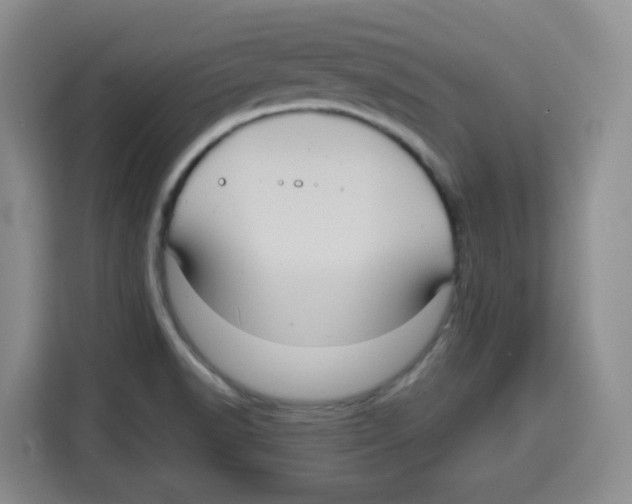 X0000115161518200911241538