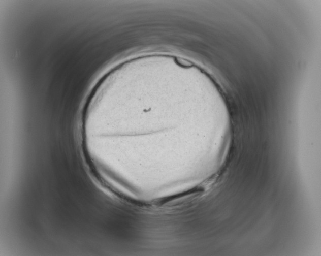 X0000115161519200911241538