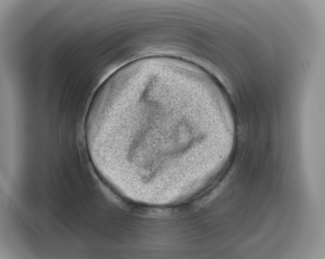 X0000115161521200911241538