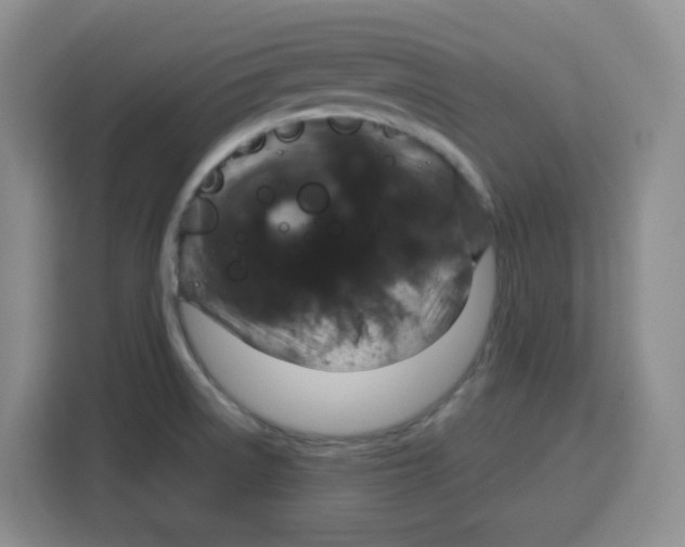 X0000115161522200911241539