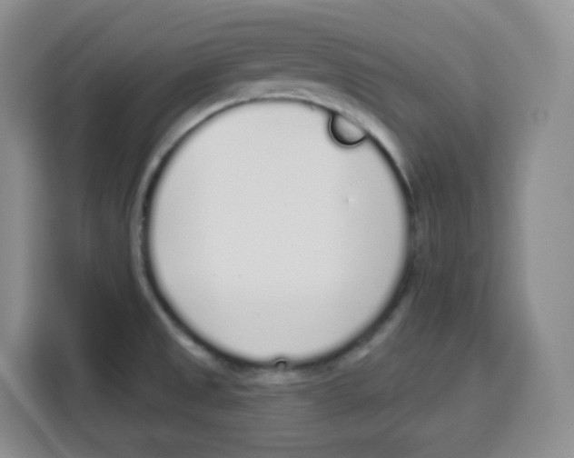 X0000115161525200911241539