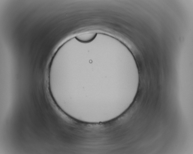 X0000115161526200911241539