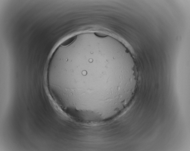 X0000115161530200911241539