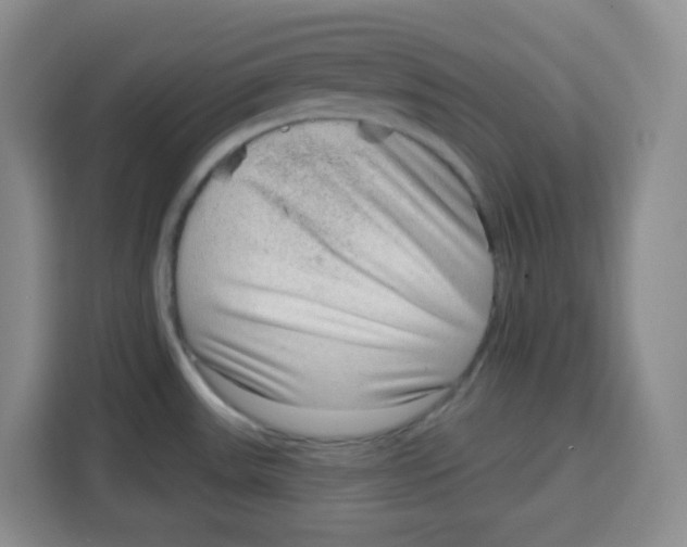 X0000115161531200911241539