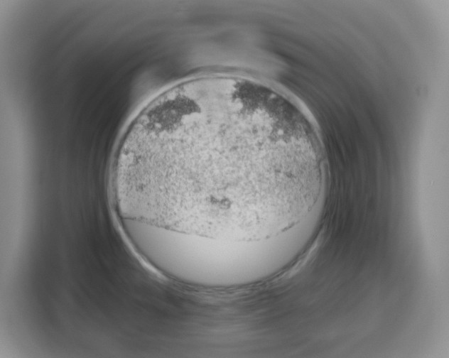 X0000115161533200911241539