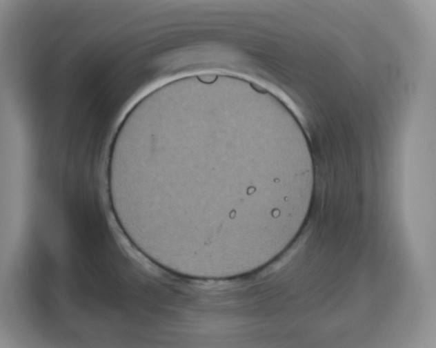 X0000115161534200911241539