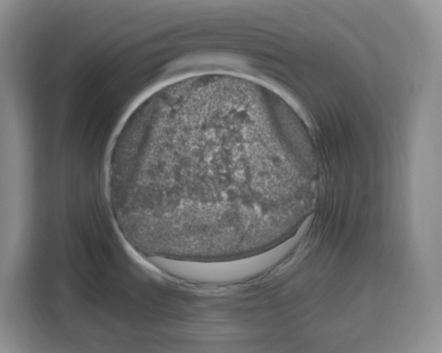 X0000115161535200911241539