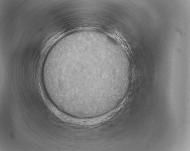 X0000115160001200912081418